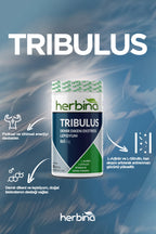 Herbina Demir Dikeni Ekstresi Lepidyum Takviyesi 90 Kapsül