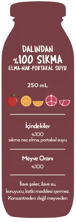Naren Sıkma %100 Nar & Portakal ve Elma Suyu - 250ml Ürün ikincil görseli