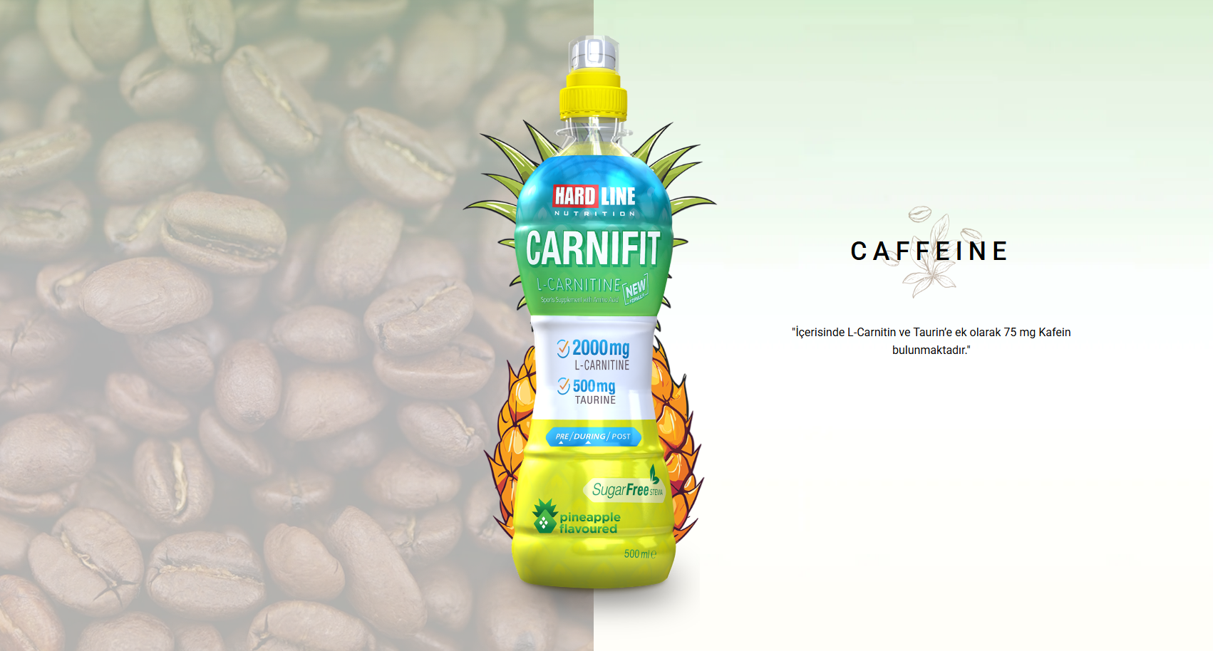 Hardline Carnifit L-Carnitine Ananas Aromalı Sporcu İçeceği