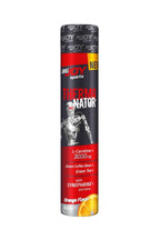 Bigjoy Sports Thermonator L-Karnitin 40ml Shot Portakal (Tekli)