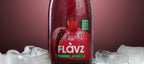 Flavz %100 Doğal Nar Sıkma Meyve Suyu - 250ml Cam Şişe